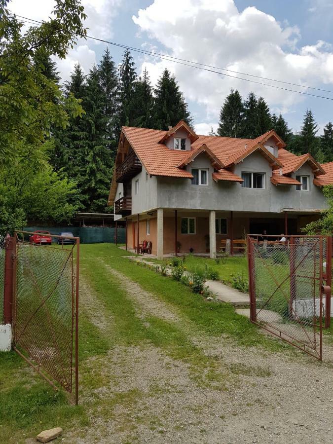 Cabana Merisor Hotell Poiana Mărului Exteriör bild